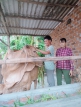 Nhơn Lộc: Hiệu quả bước đầu từ mô hình "Hỗ trợ sinh kế cho người nghèo"
