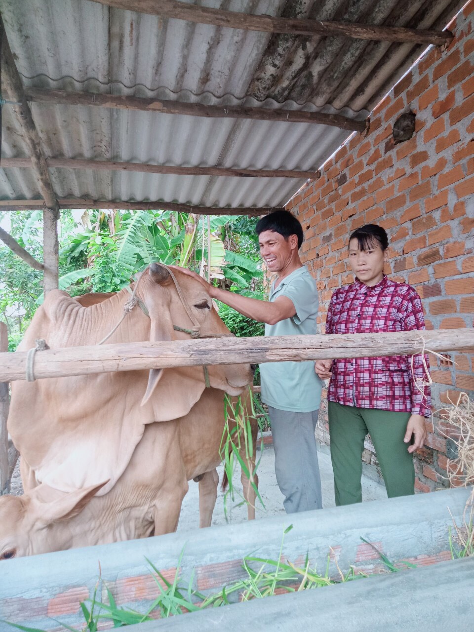 Nhơn Lộc: Hiệu quả bước đầu từ mô hình "Hỗ trợ sinh kế cho người nghèo"