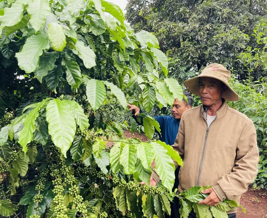 Viết lại đời mình bằng việc tử tế